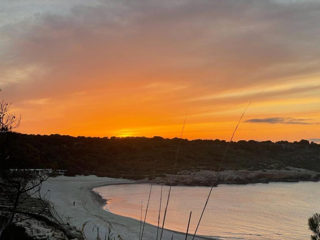 Apartamento Brisa De Menorca Son Parc Eksteriør billede